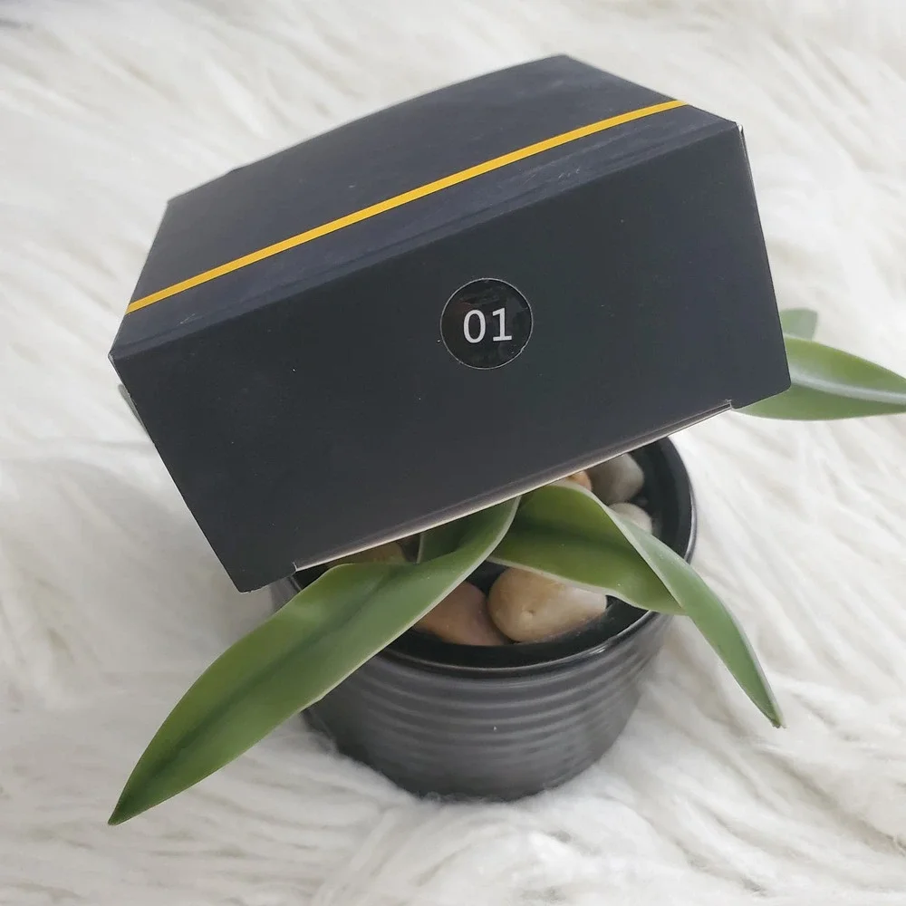 tash cosmetics